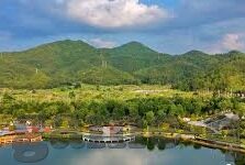 全球足球联赛比分-全球足球联赛比分全景，数据背后的激情与策略交响